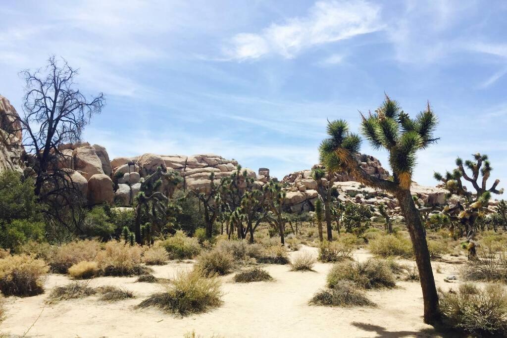 Cozy Stylish Home In The Heart Of Jt Village Joshua Tree Exterior foto